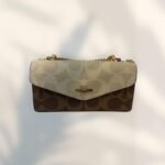 Coach Bag - Brown and Gold - C21 - Image 22
