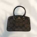 Coach Bag - Brown and Gold - C21 - Image 14