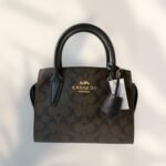 Coach Bag - Brown and Gold - C21 - Image 15
