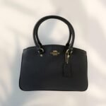 Coach Bag - Brown and Gold - C21 - Image 17