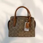 Coach Bag - Brown and Gold - C21 - Image 6