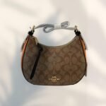 Coach Bag - Brown and Gold - C21 - Image 5