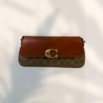 Coach Bag - Brown and Gold - C21 - Image 4