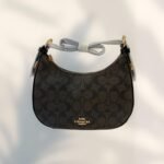 Coach Bag - Brown and Gold - C21 - Image 3