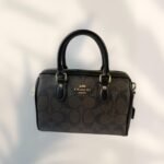 Coach Bag - Brown and Gold - C21 - Image 20