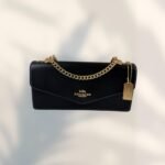 Coach Bag - Brown and Gold - C21 - Image 18