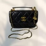 Coach Bag - Brown and Gold - C21 - Image 12