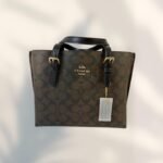 Coach Bag - Brown and Gold - C21 - Image 13